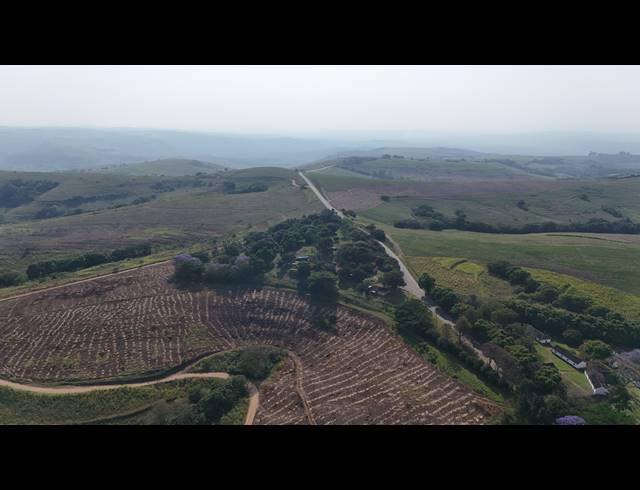 104,000M² FARM FOR SALE IN BALLITO RURAL